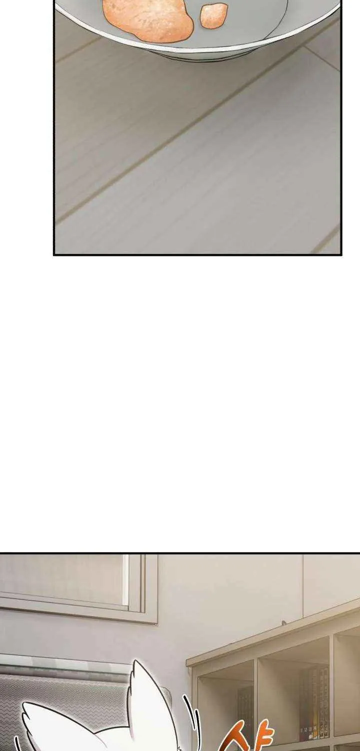 Hello, Griffin the Fluffy Bird! Chapter 13 page 46 - 