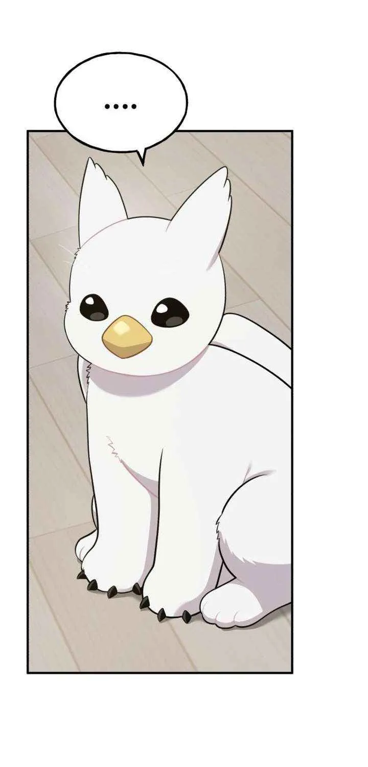 Hello, Griffin the Fluffy Bird! Chapter 13 page 54 - 