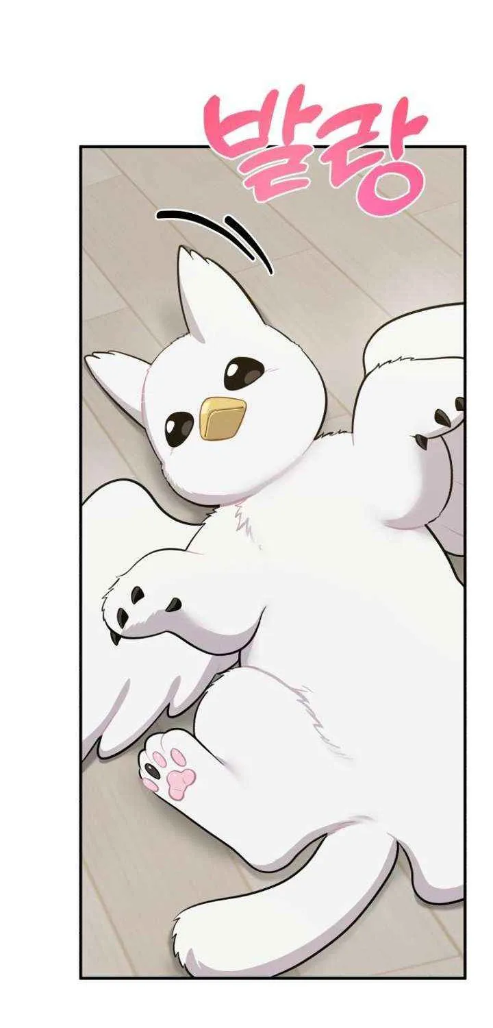 Hello, Griffin the Fluffy Bird! Chapter 13 page 55 - 