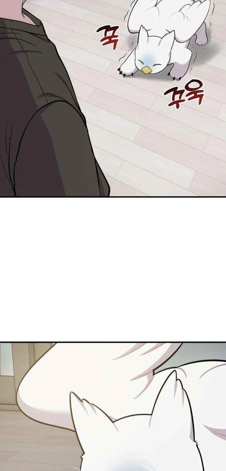 Hello, Griffin the Fluffy Bird! Chapter 14 page 16 - 