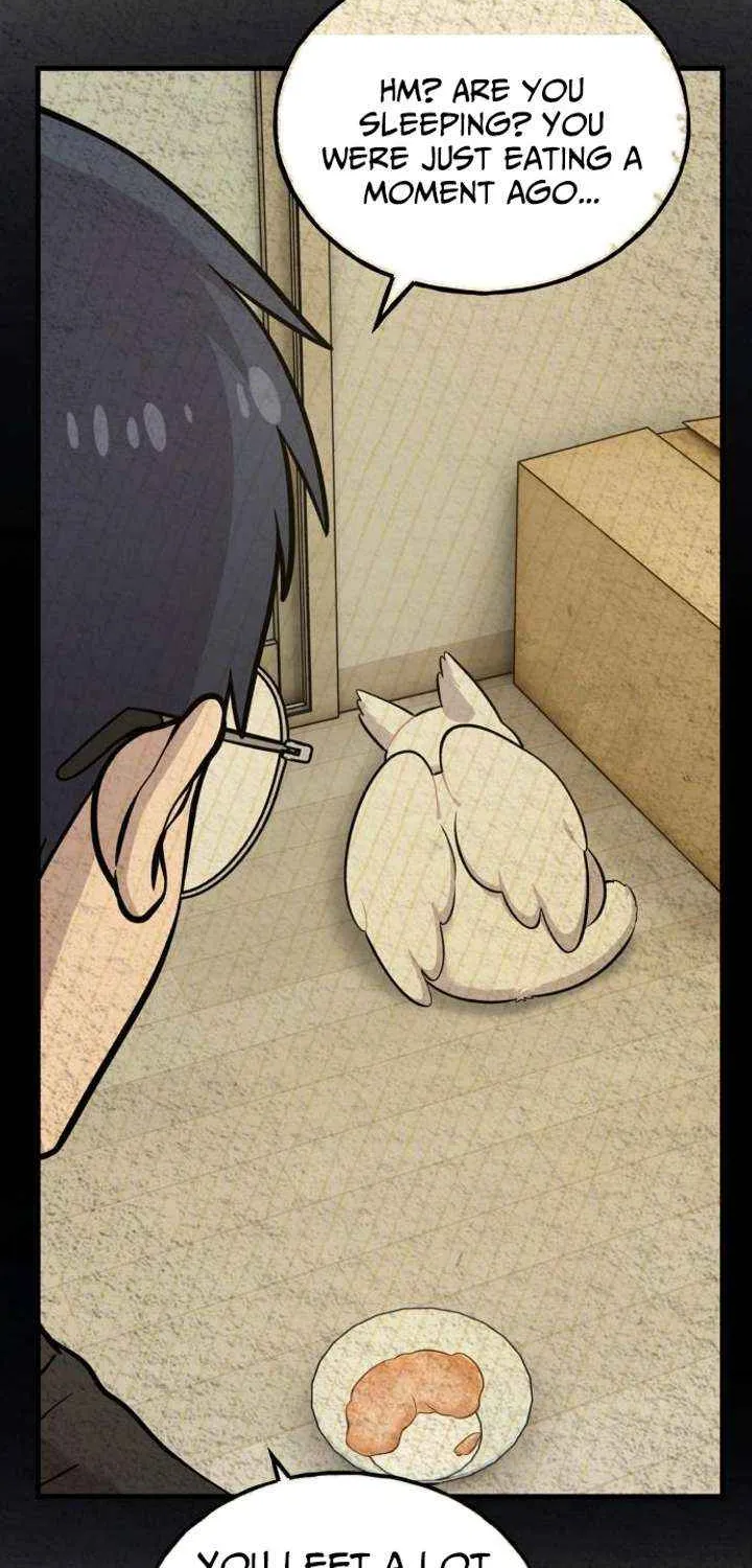 Hello, Griffin the Fluffy Bird! Chapter 14 page 27 - 