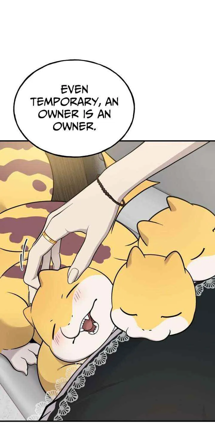Hello, Griffin the Fluffy Bird! Chapter 14 page 42 - 