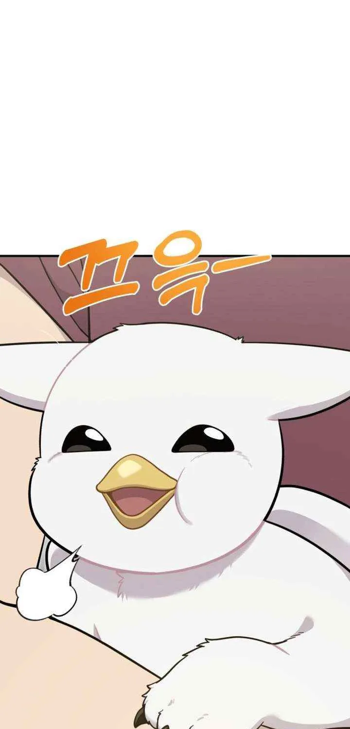 Hello, Griffin the Fluffy Bird! Chapter 14 page 52 - 
