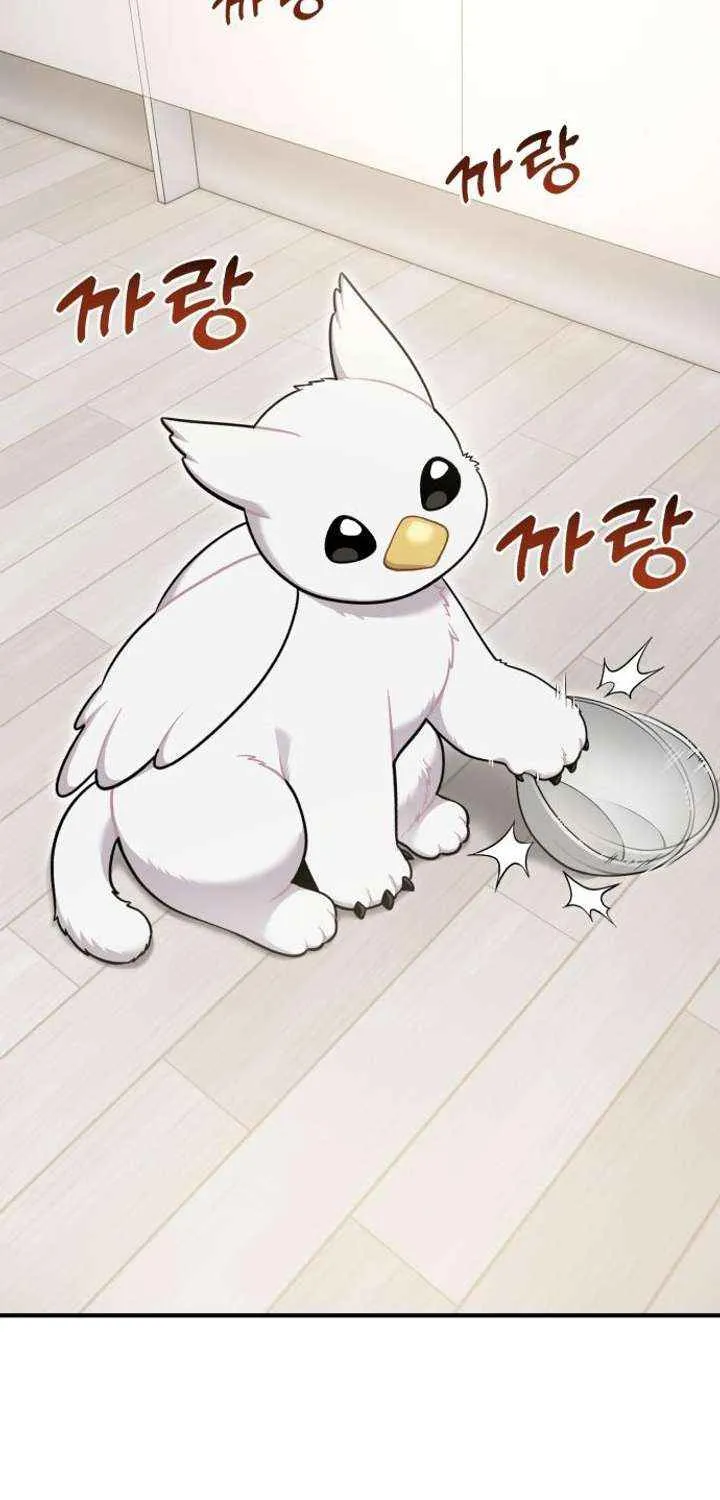 Hello, Griffin the Fluffy Bird! Chapter 14 page 61 - 