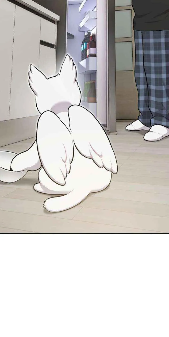 Hello, Griffin the Fluffy Bird! Chapter 14 page 63 - 