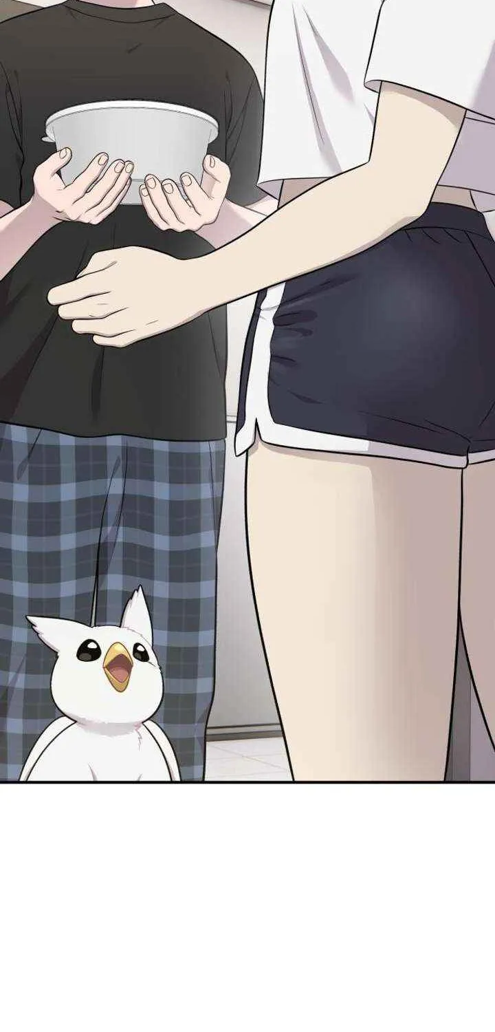 Hello, Griffin the Fluffy Bird! Chapter 14 page 74 - 