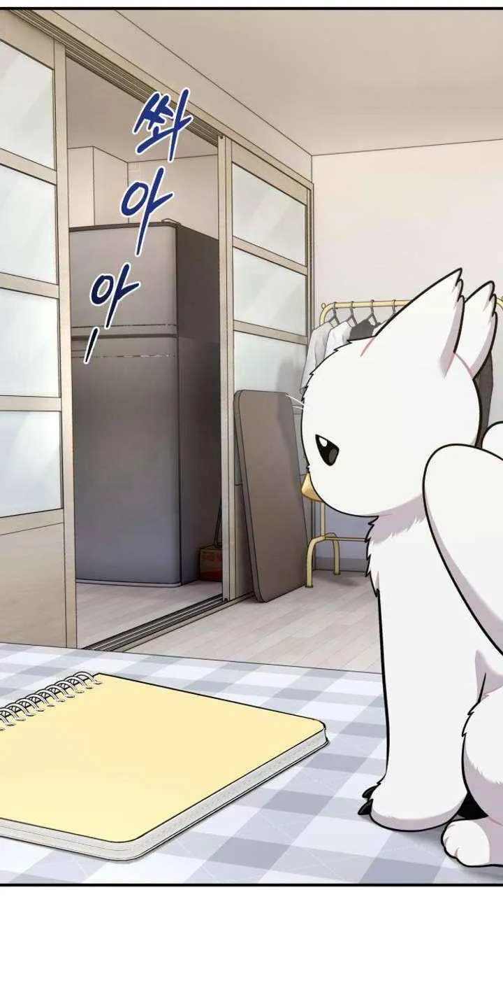 Hello, Griffin the Fluffy Bird! Chapter 15 page 64 - 