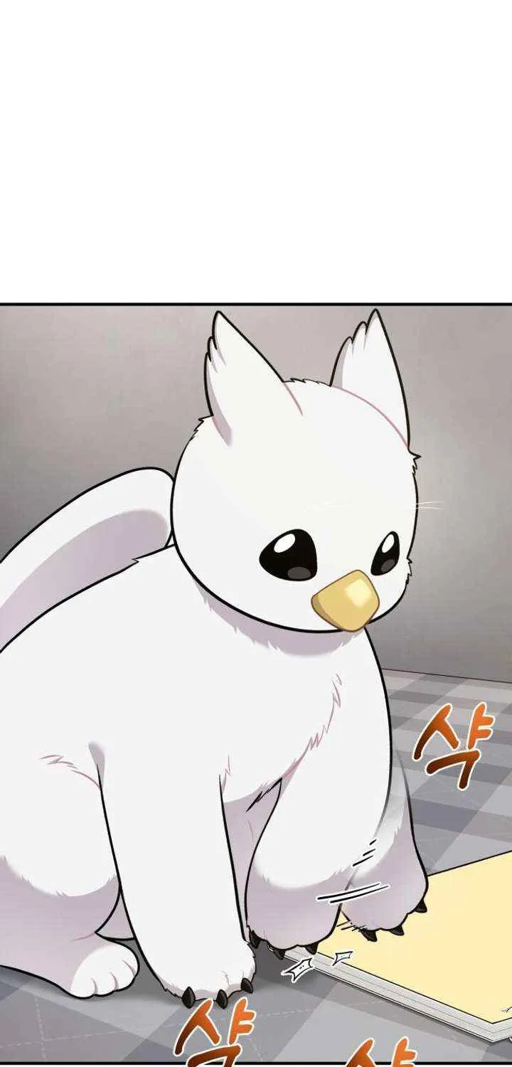 Hello, Griffin the Fluffy Bird! Chapter 15 page 65 - 