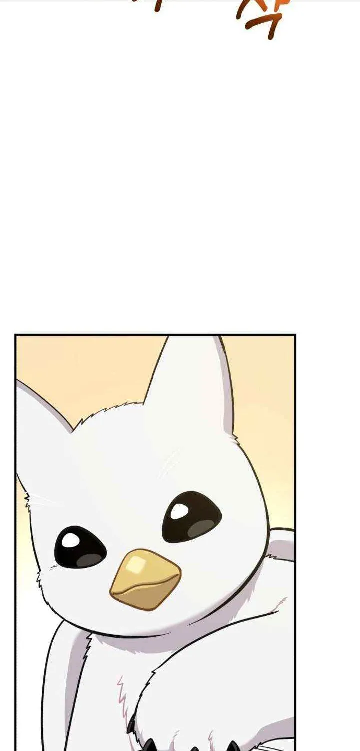 Hello, Griffin the Fluffy Bird! Chapter 15 page 66 - 