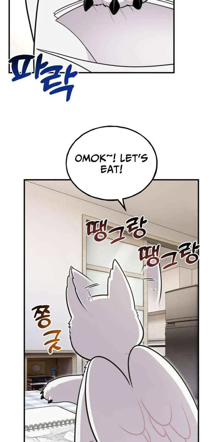 Hello, Griffin the Fluffy Bird! Chapter 15 page 67 - 