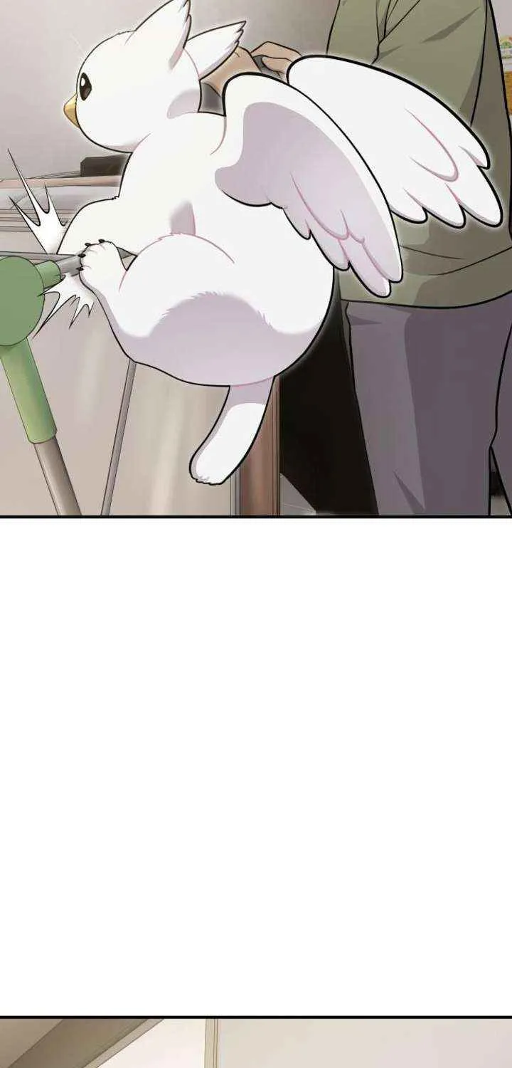Hello, Griffin the Fluffy Bird! Chapter 16 page 25 - 