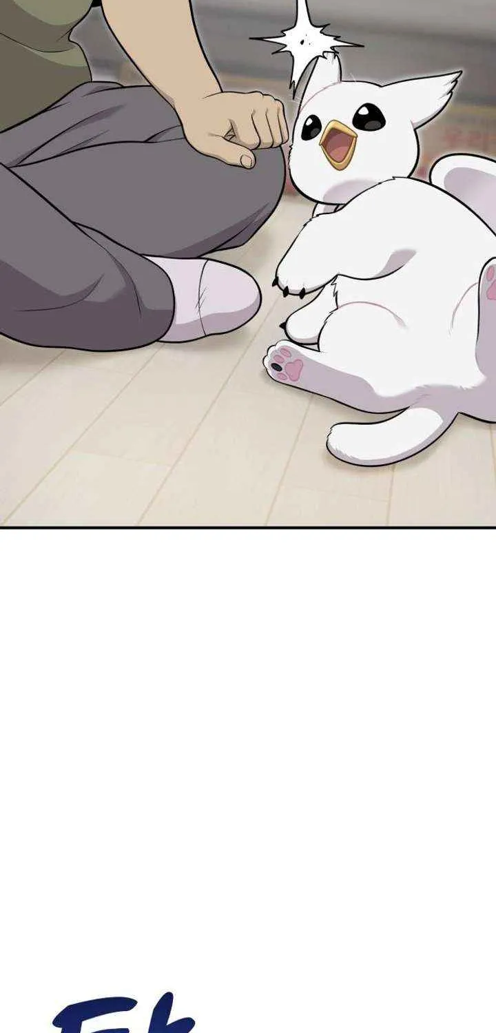 Hello, Griffin the Fluffy Bird! Chapter 16 page 33 - 