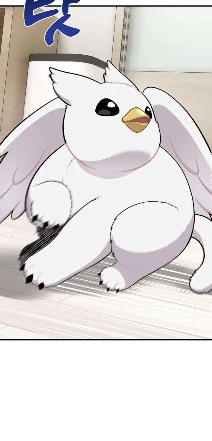 Hello, Griffin the Fluffy Bird! Chapter 16 page 34 - 