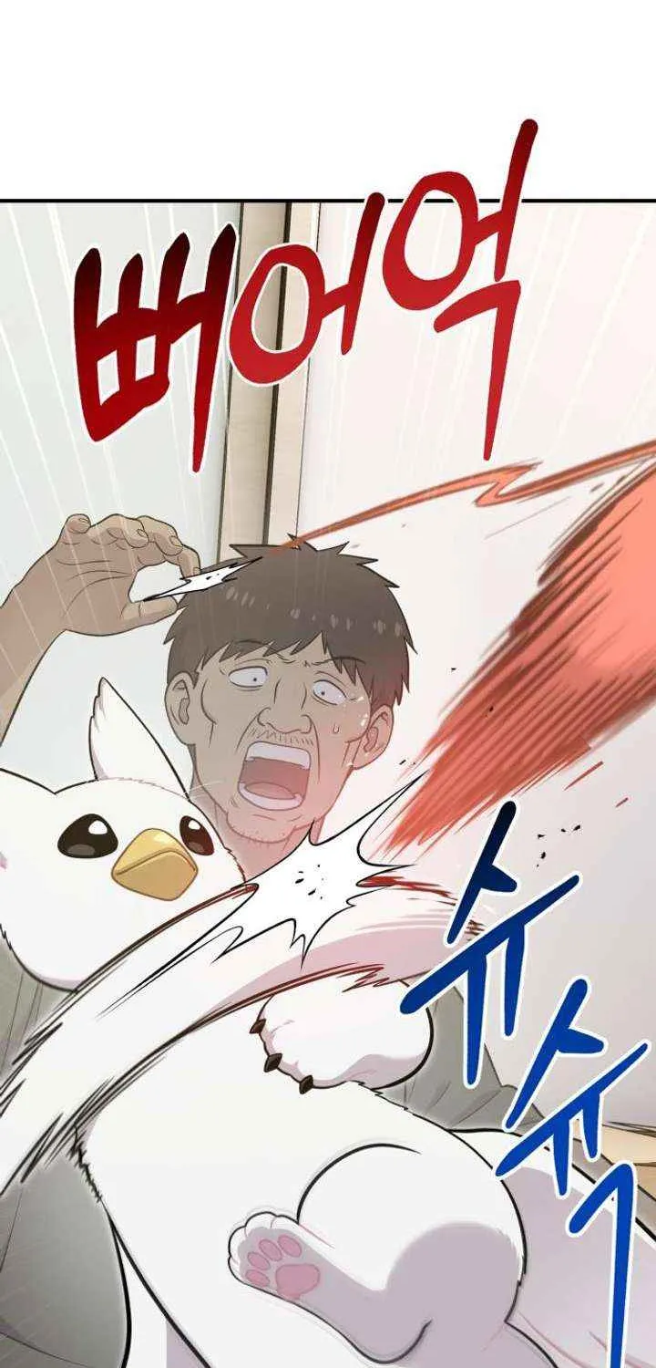 Hello, Griffin the Fluffy Bird! Chapter 16 page 35 - 