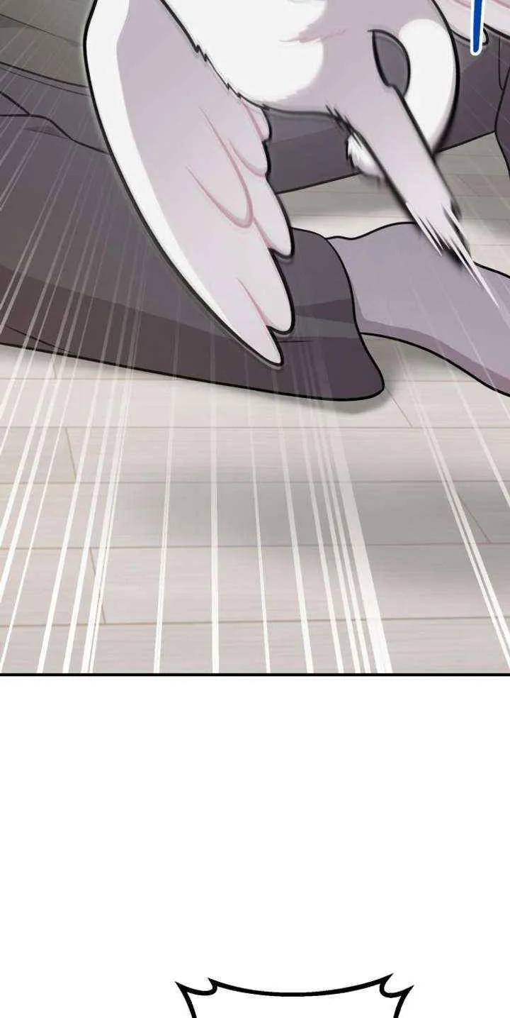 Hello, Griffin the Fluffy Bird! Chapter 16 page 36 - 