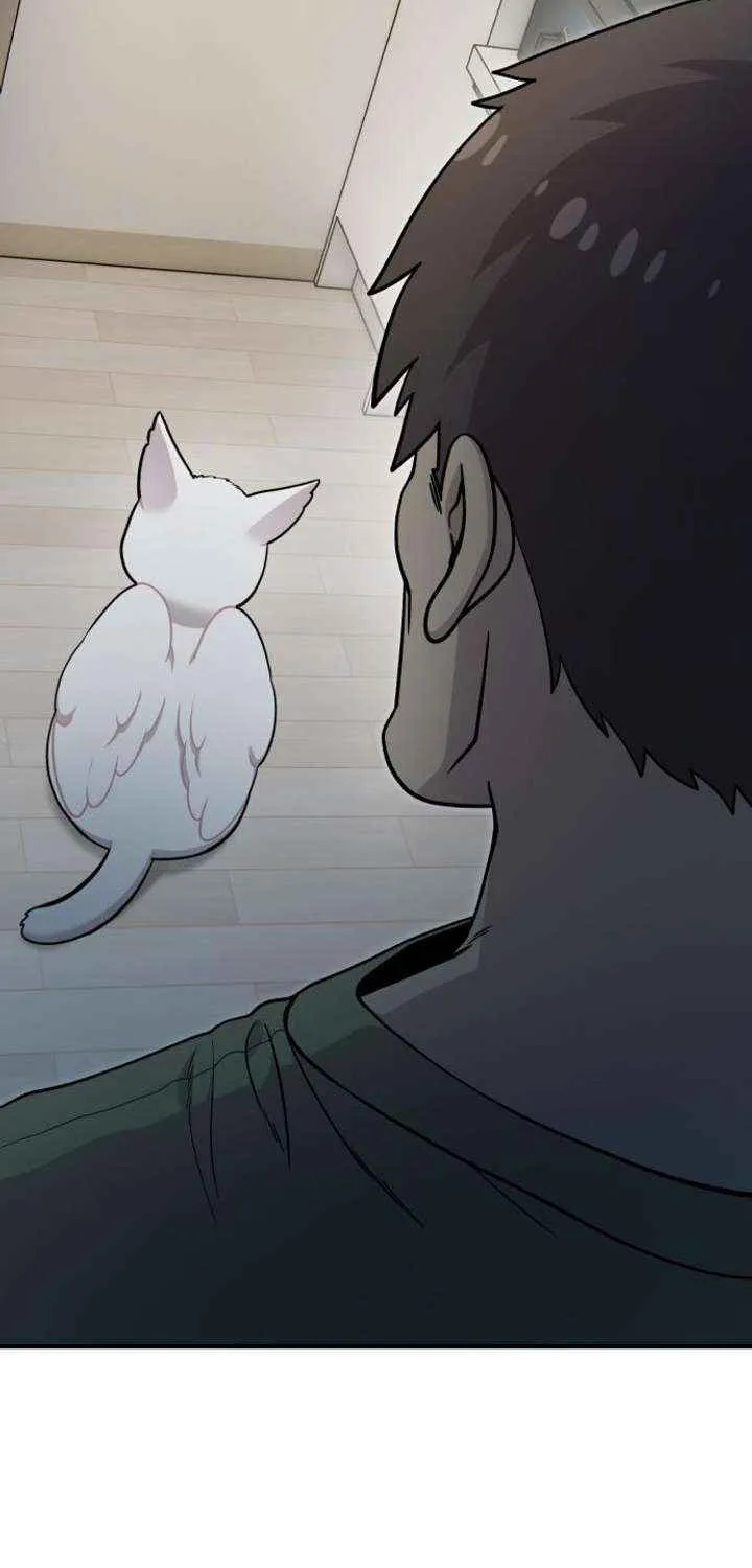 Hello, Griffin the Fluffy Bird! Chapter 16 page 41 - 