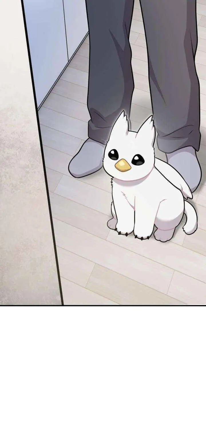 Hello, Griffin the Fluffy Bird! Chapter 16 page 46 - 
