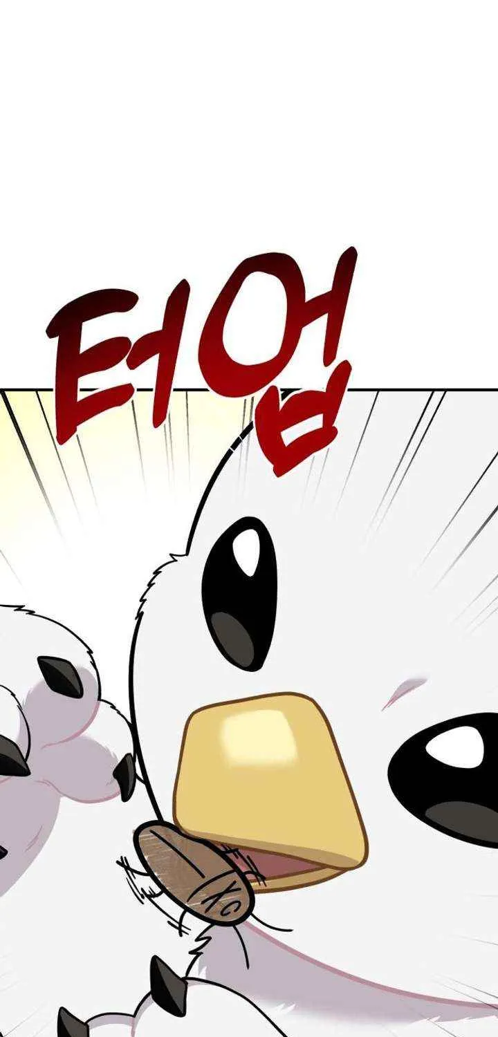 Hello, Griffin the Fluffy Bird! Chapter 16 page 55 - 