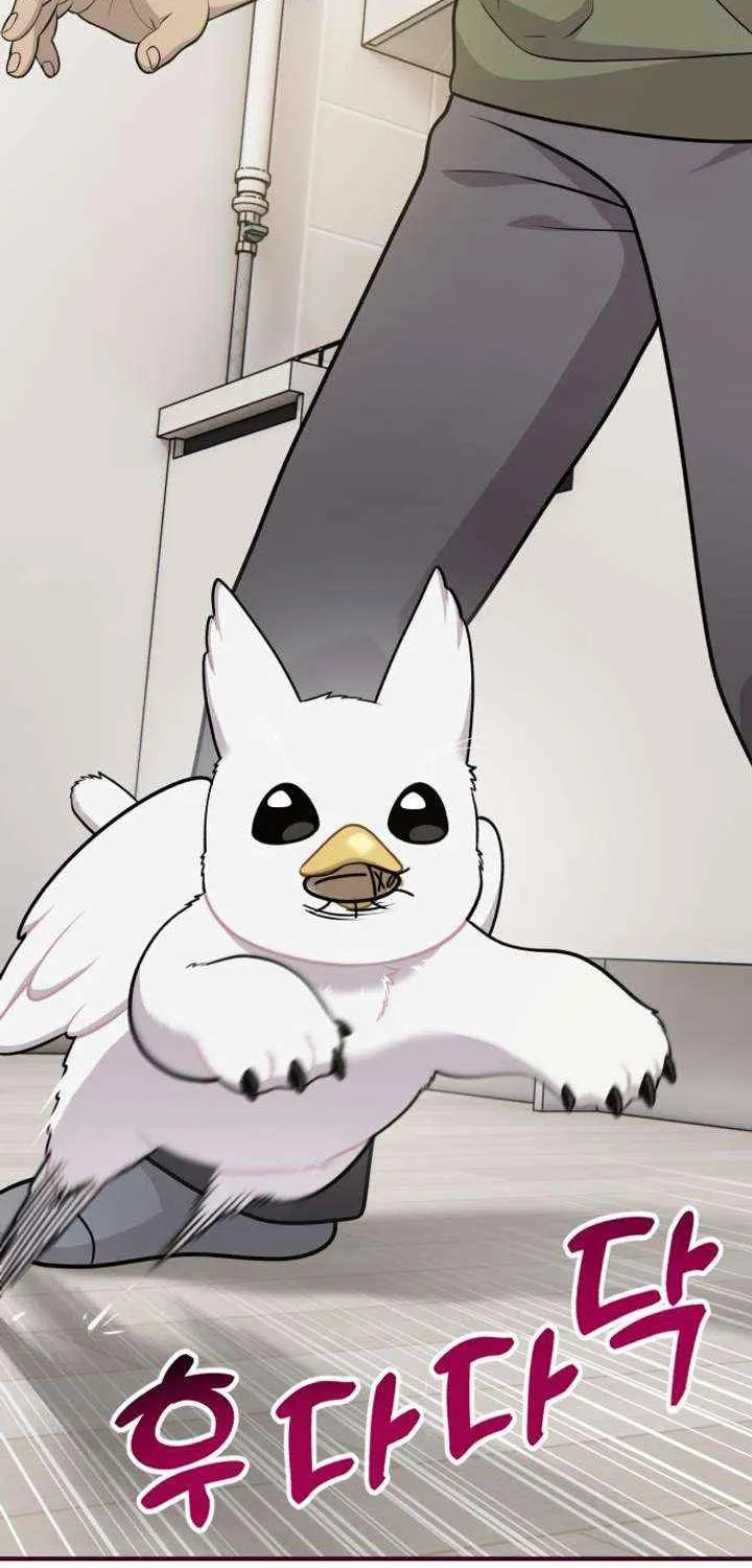Hello, Griffin the Fluffy Bird! Chapter 16 page 59 - 