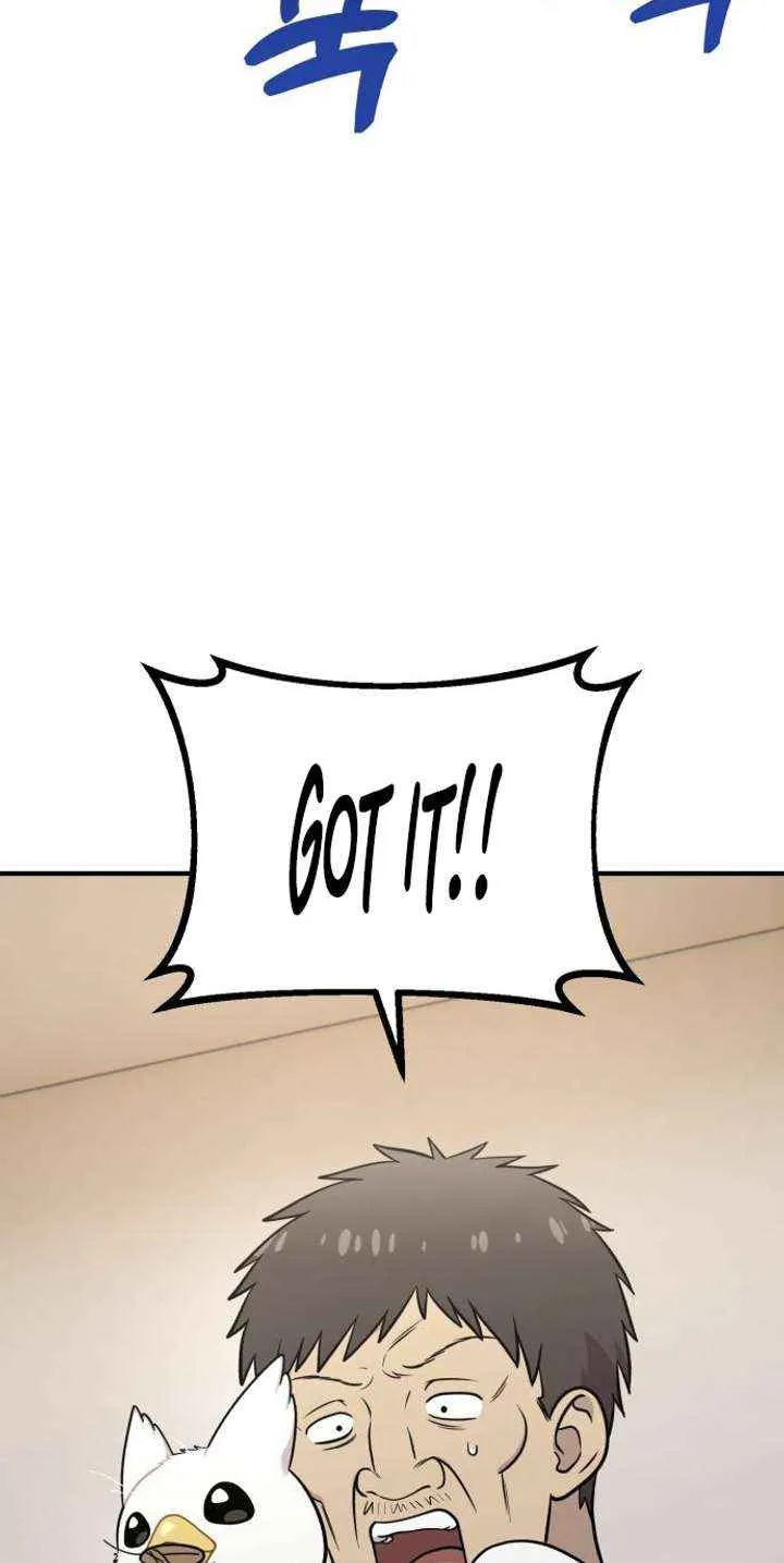 Hello, Griffin the Fluffy Bird! Chapter 16 page 64 - 