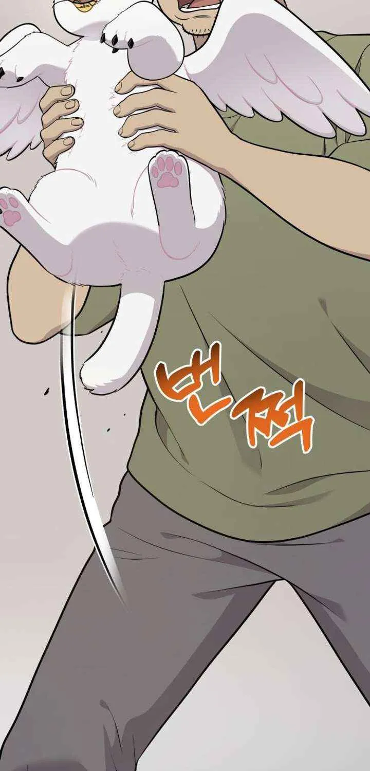 Hello, Griffin the Fluffy Bird! Chapter 16 page 65 - 
