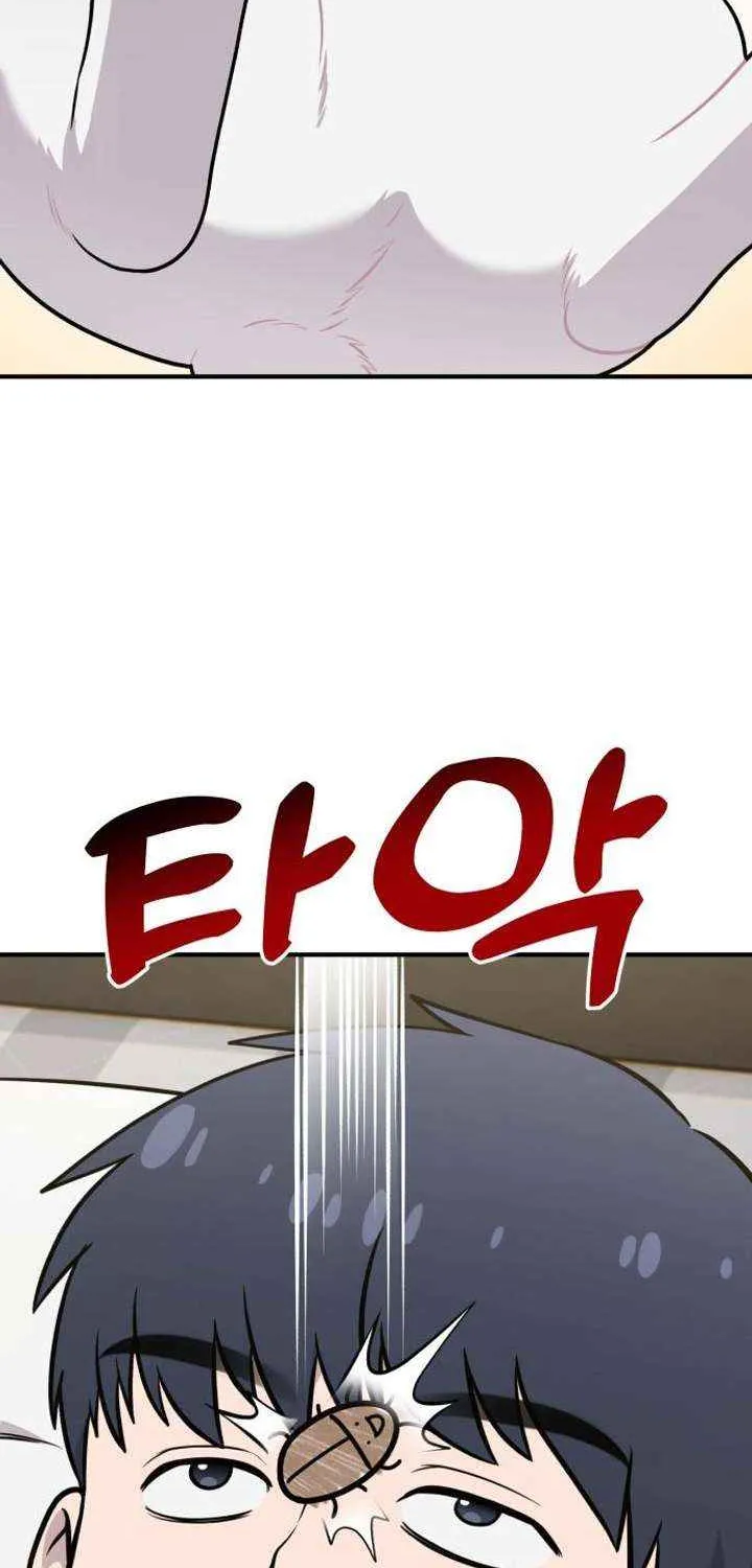 Hello, Griffin the Fluffy Bird! Chapter 16 page 68 - 