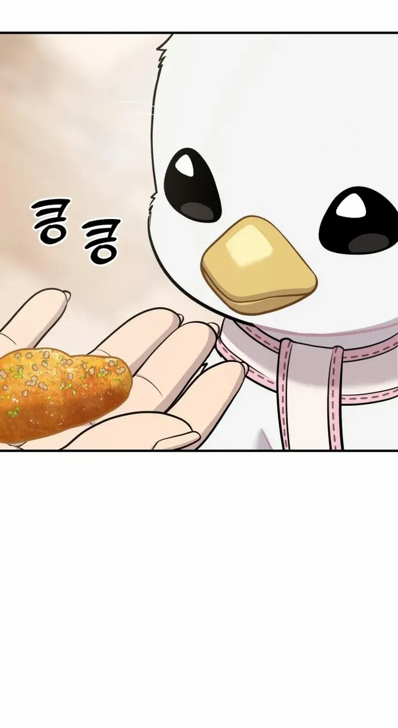 Hello, Griffin the Fluffy Bird! Chapter 17 page 101 - 