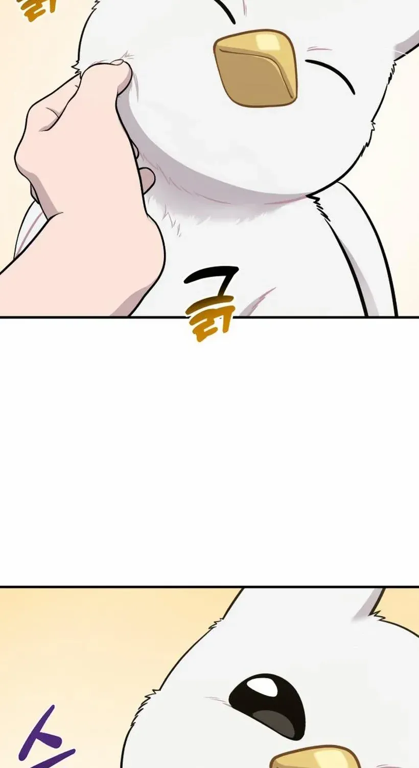 Hello, Griffin the Fluffy Bird! Chapter 17 page 12 - 