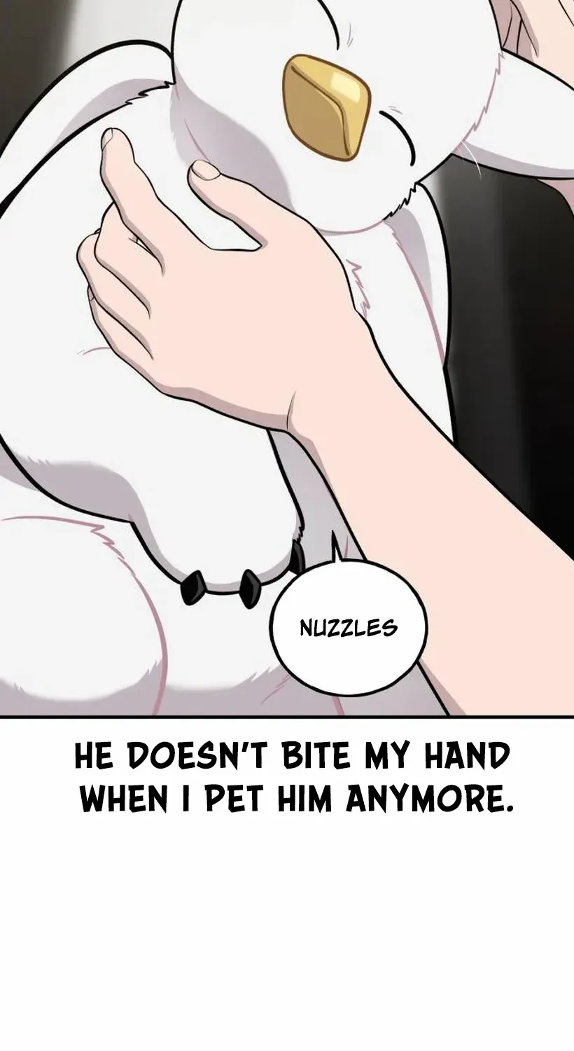 Hello, Griffin the Fluffy Bird! Chapter 17 page 20 - 