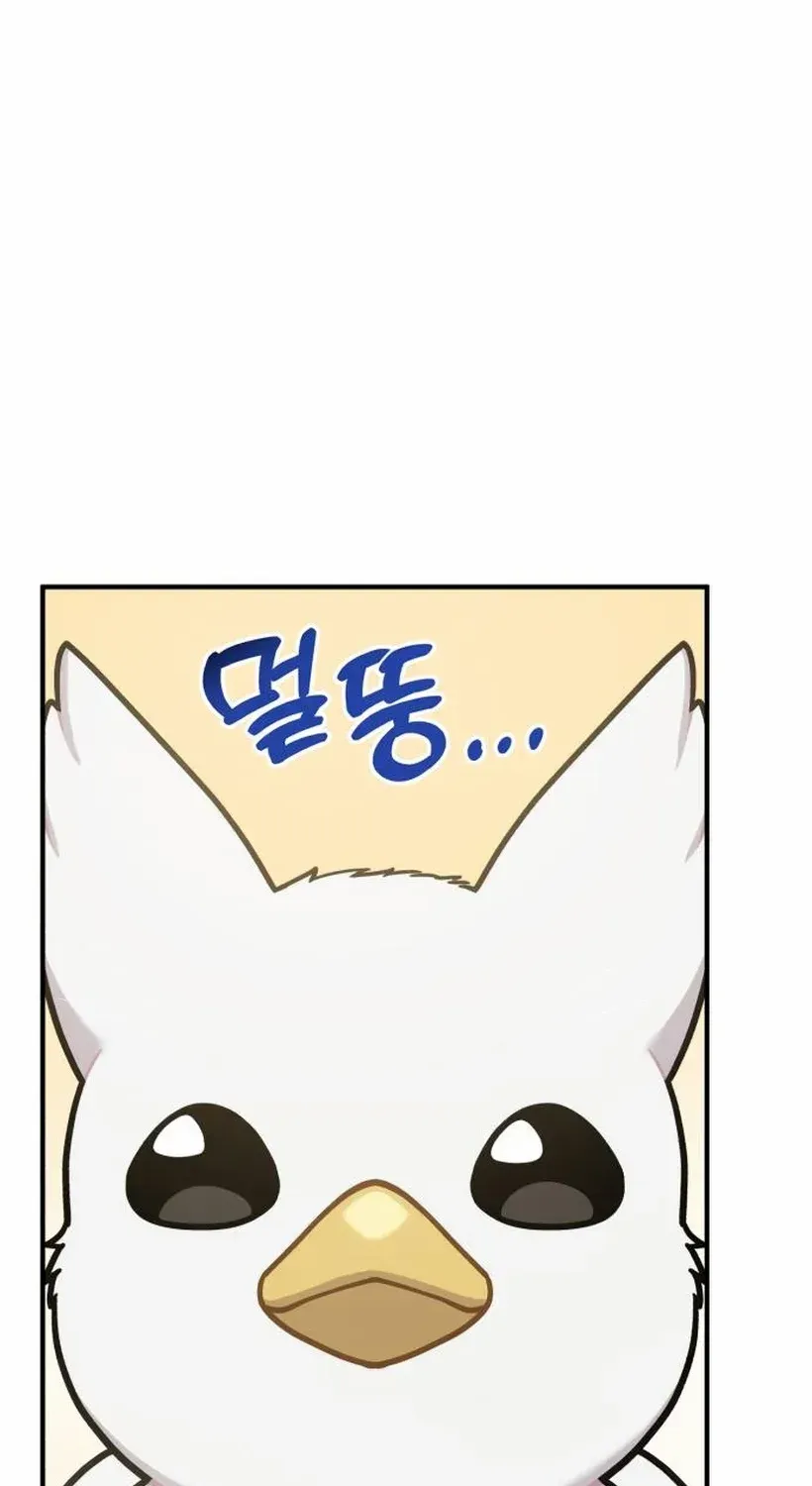 Hello, Griffin the Fluffy Bird! Chapter 17 page 4 - 