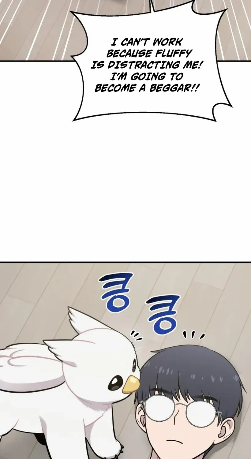 Hello, Griffin the Fluffy Bird! Chapter 17 page 31 - 