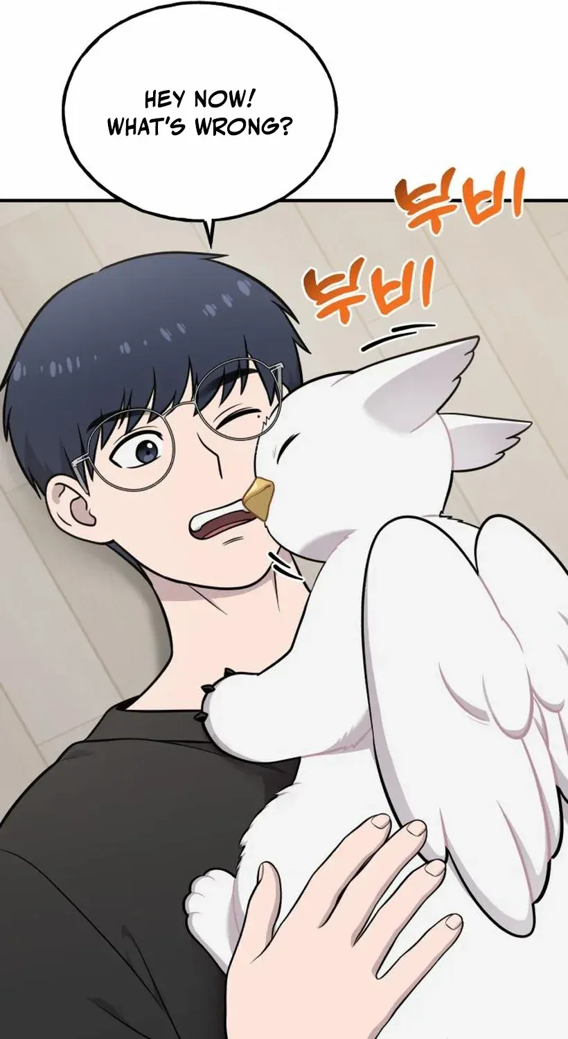 Hello, Griffin the Fluffy Bird! Chapter 17 page 34 - 