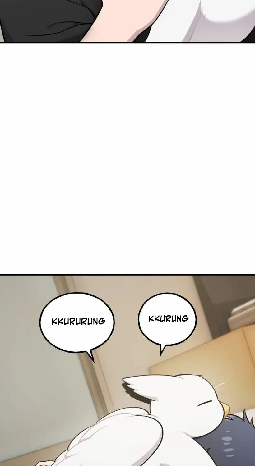 Hello, Griffin the Fluffy Bird! Chapter 17 page 35 - 