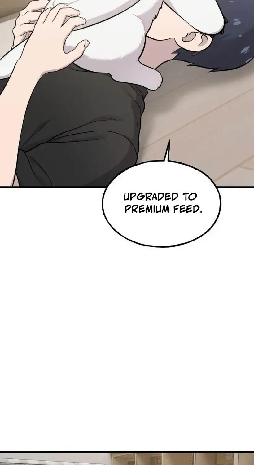 Hello, Griffin the Fluffy Bird! Chapter 17 page 36 - 