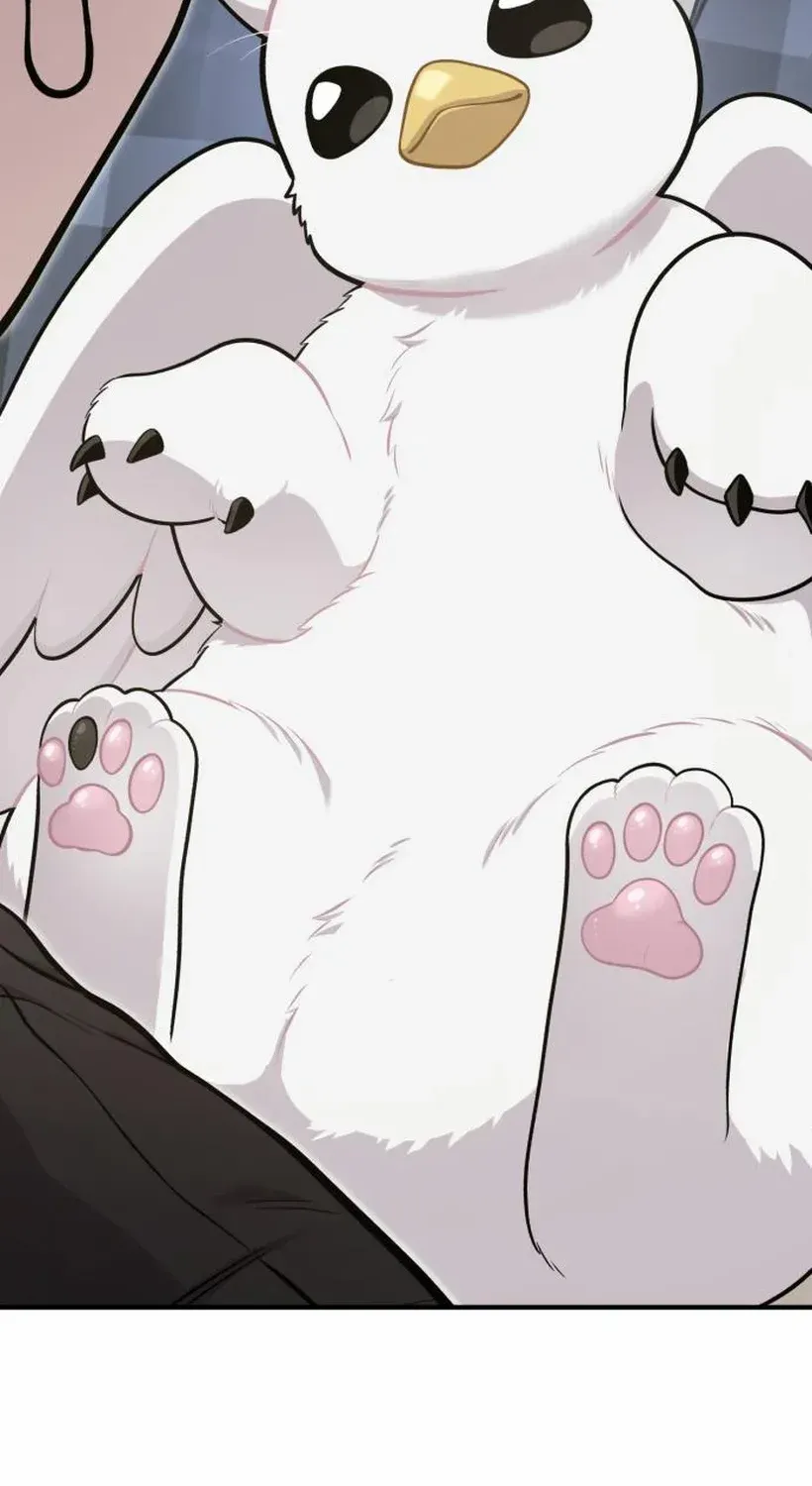 Hello, Griffin the Fluffy Bird! Chapter 17 page 44 - 