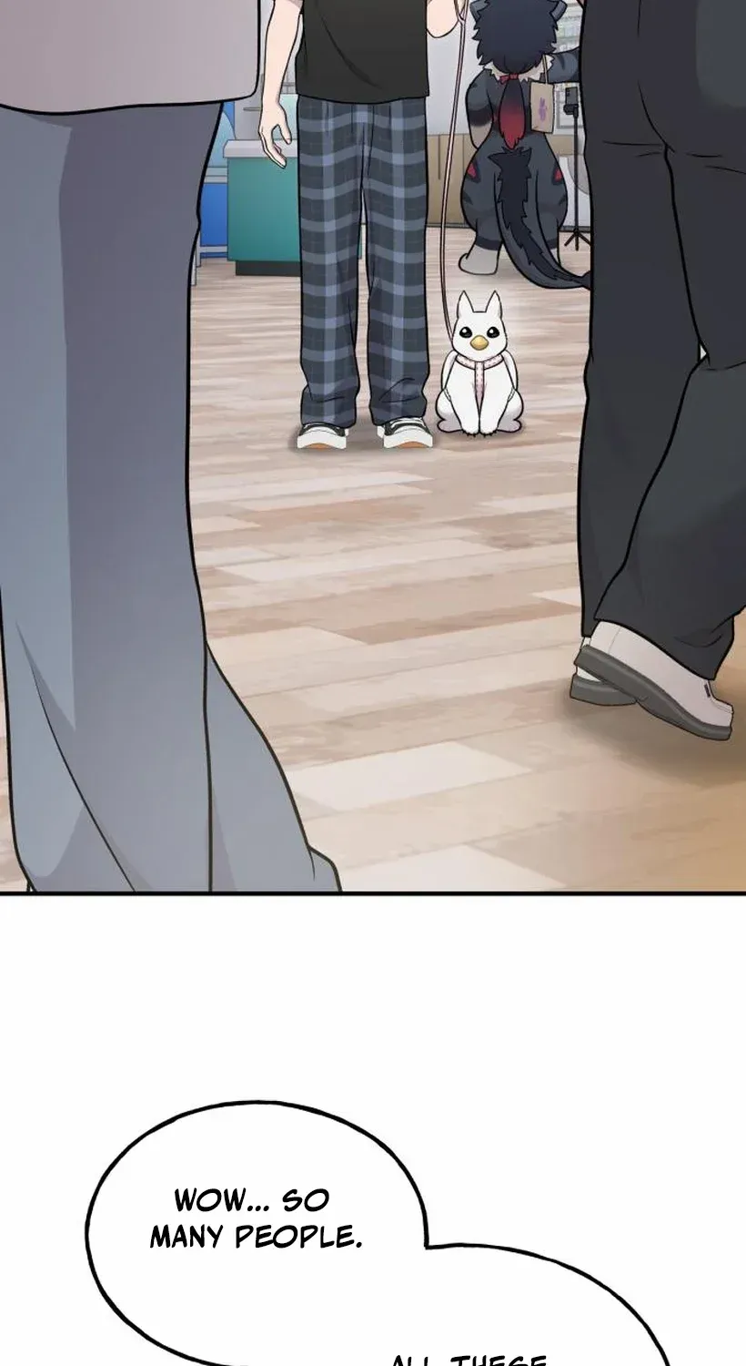 Hello, Griffin the Fluffy Bird! Chapter 17 page 62 - 