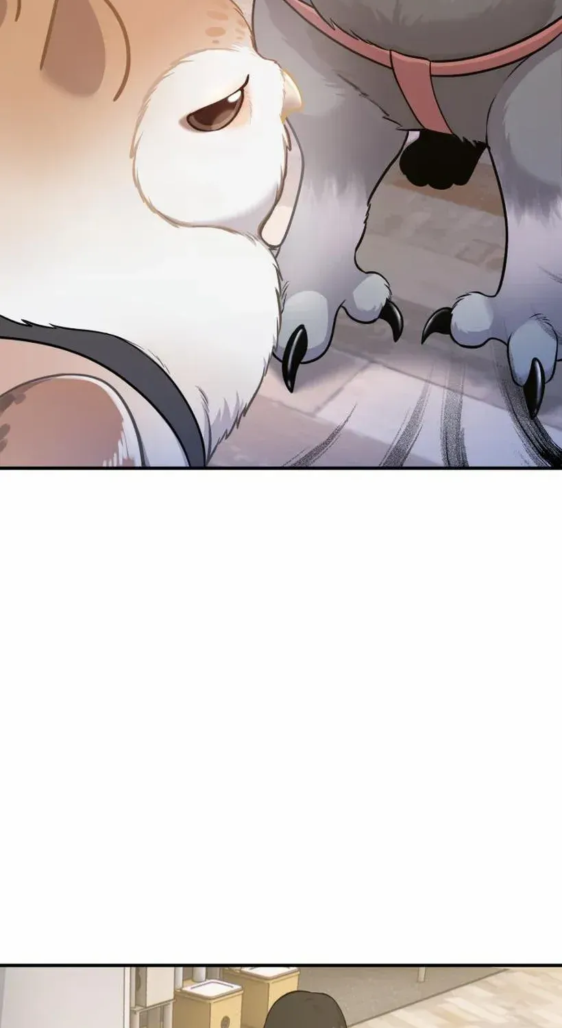 Hello, Griffin the Fluffy Bird! Chapter 17 page 67 - 