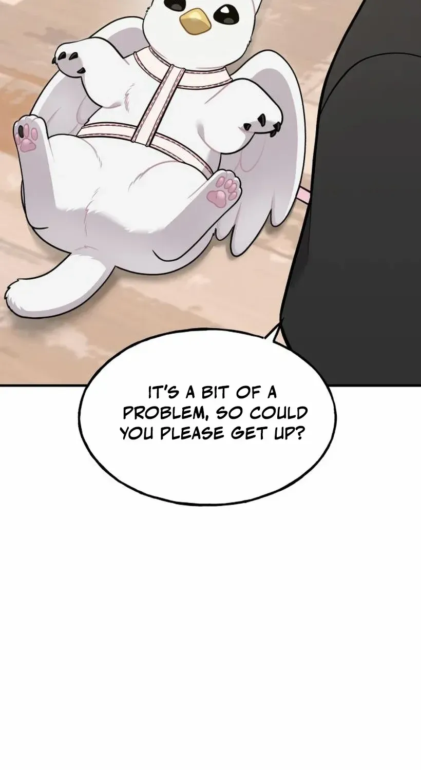 Hello, Griffin the Fluffy Bird! Chapter 17 page 72 - 