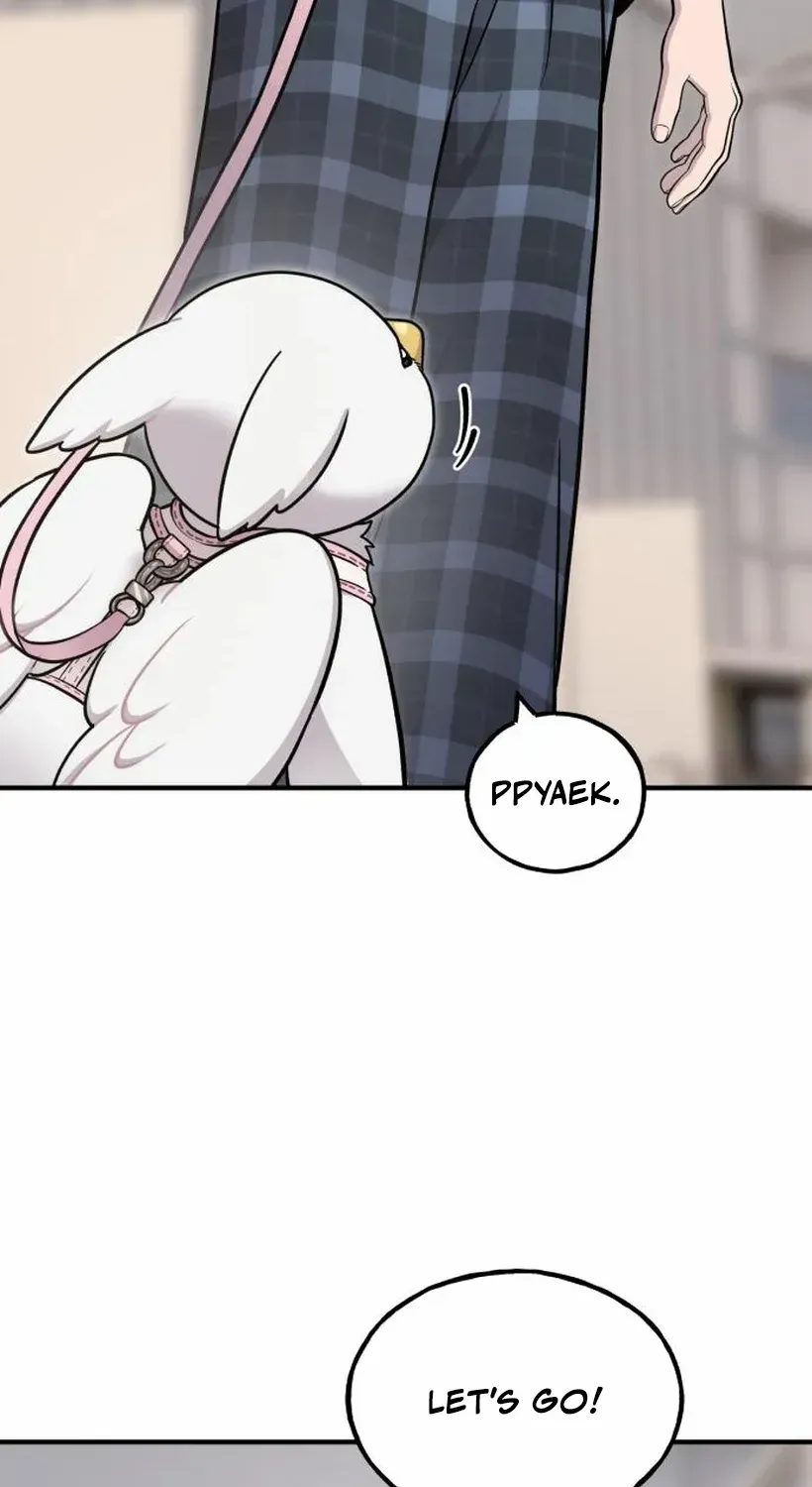 Hello, Griffin the Fluffy Bird! Chapter 17 page 74 - 