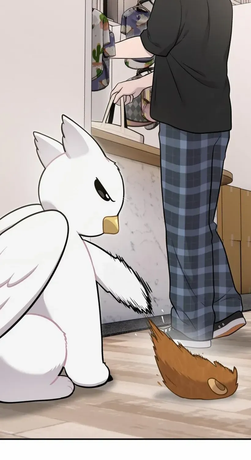 Hello, Griffin the Fluffy Bird! Chapter 17 page 84 - 