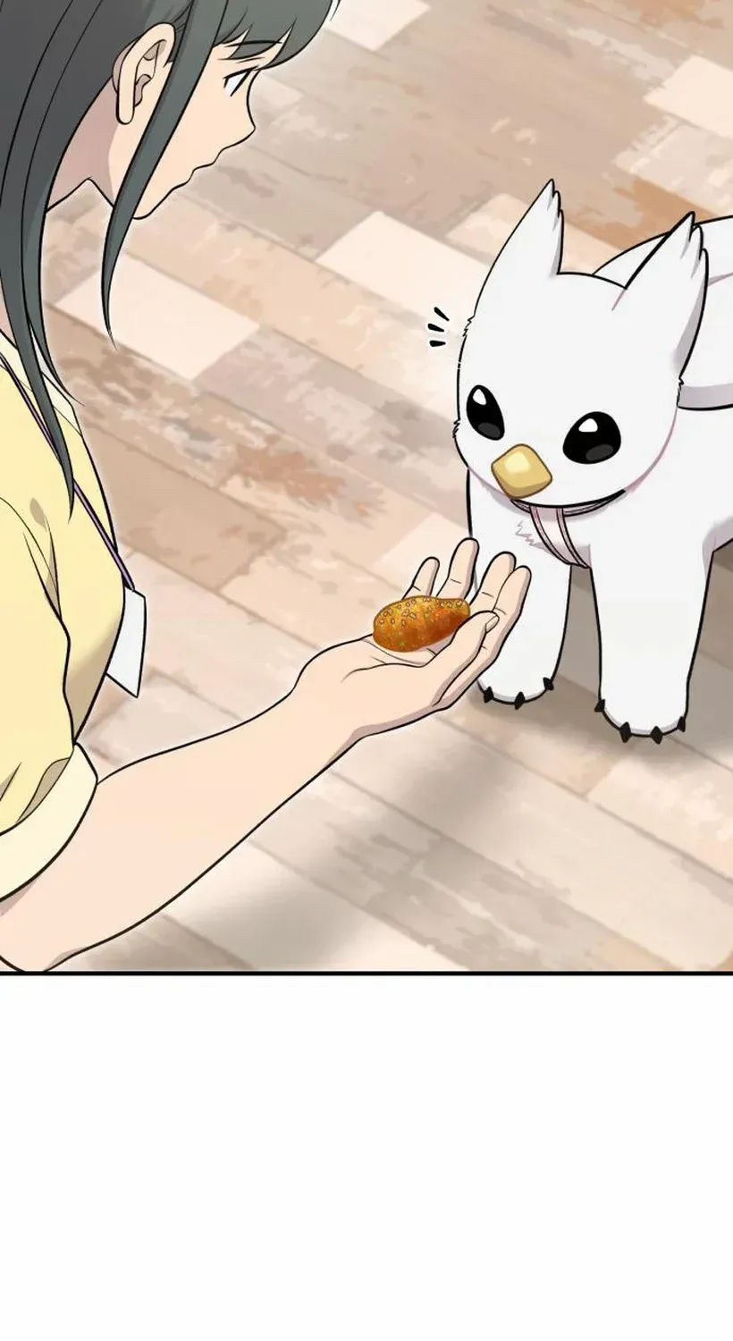 Hello, Griffin the Fluffy Bird! Chapter 17 page 100 - 