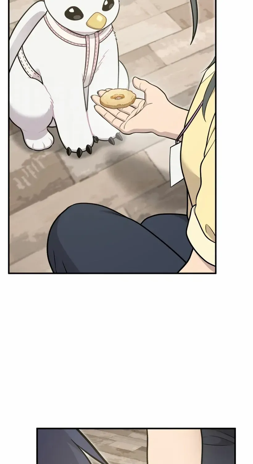 Hello, Griffin the Fluffy Bird! Chapter 18 page 12 - 