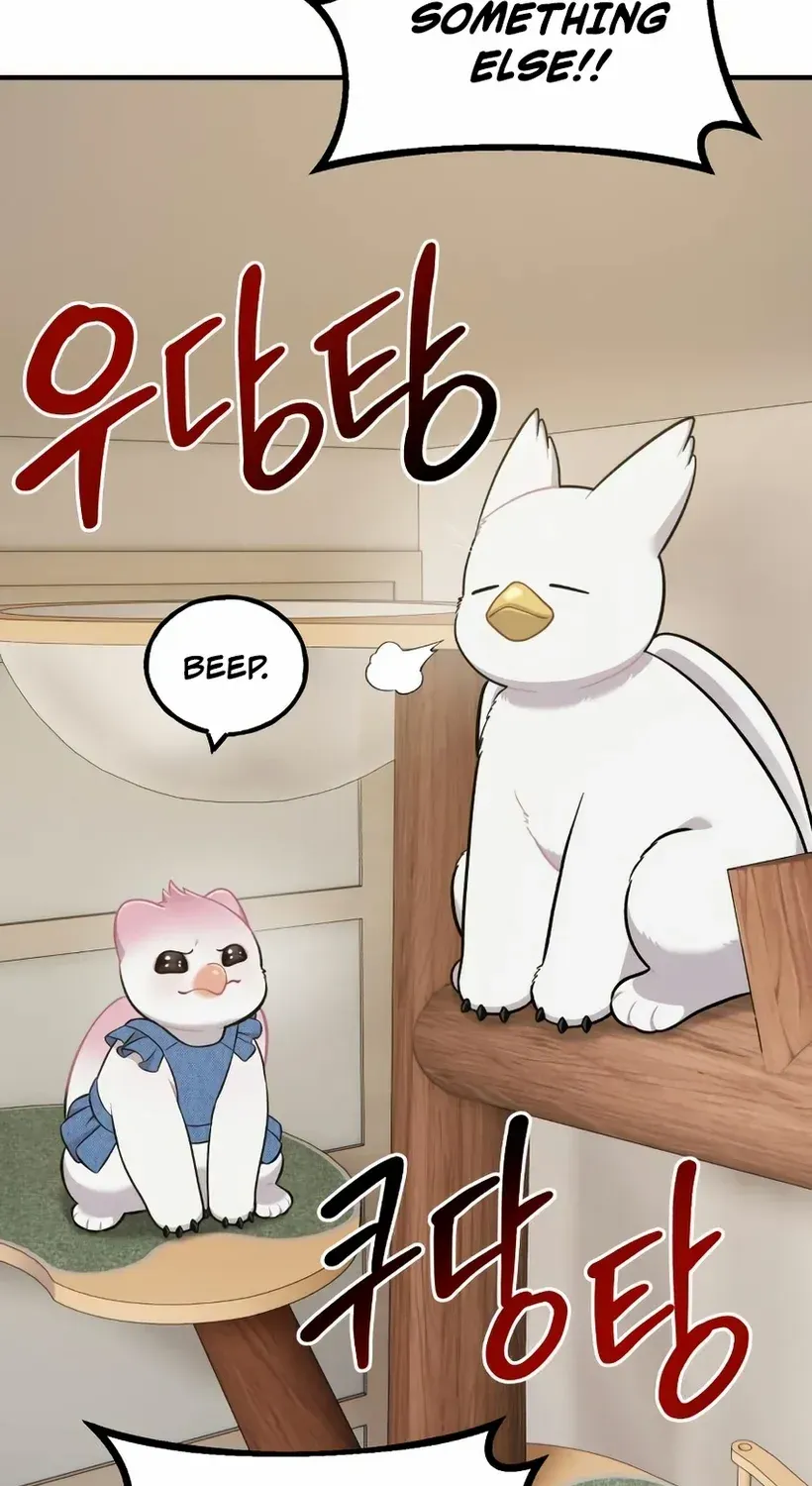 Hello, Griffin the Fluffy Bird! Chapter 18 page 111 - 