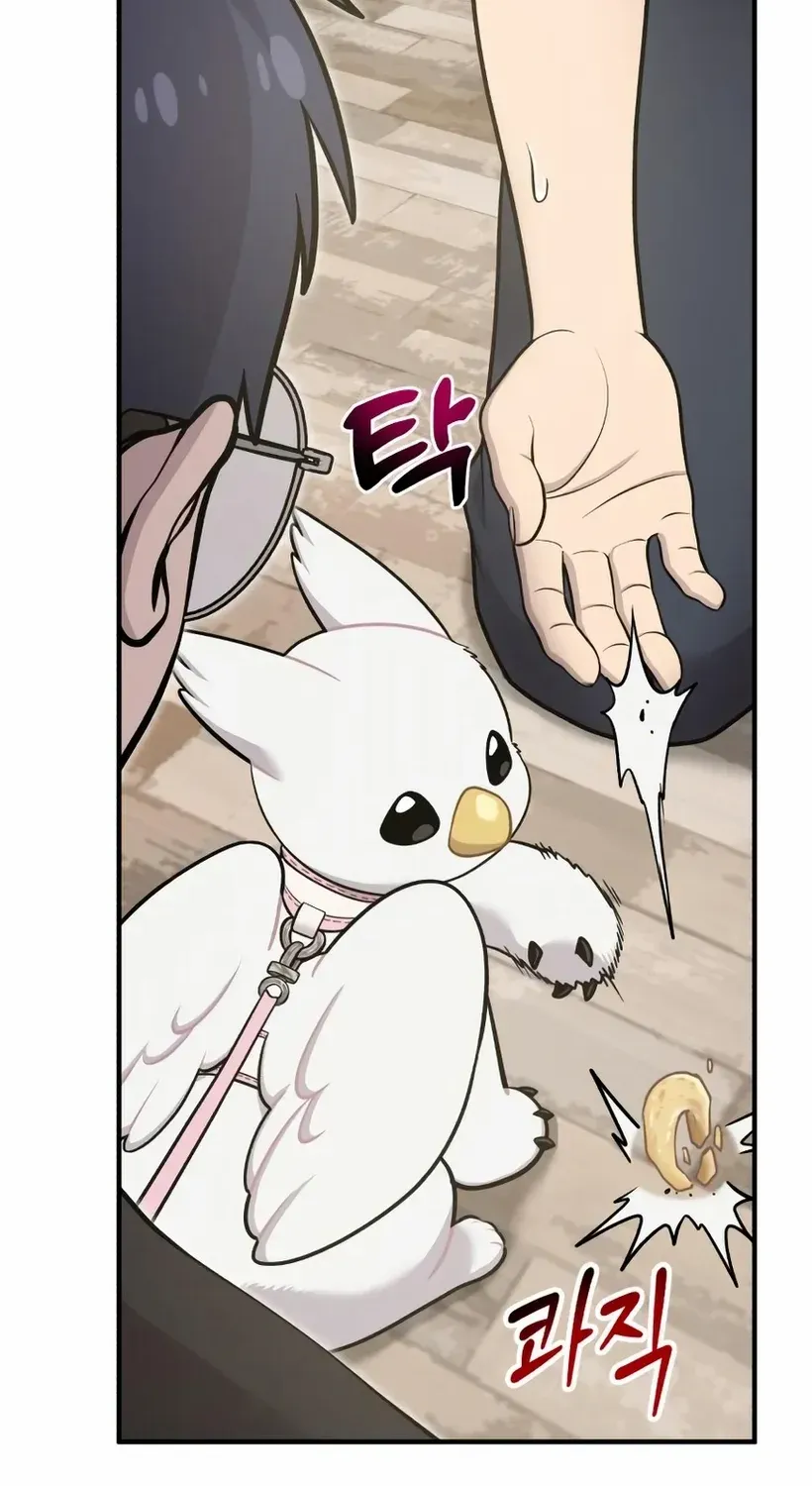 Hello, Griffin the Fluffy Bird! Chapter 18 page 13 - 