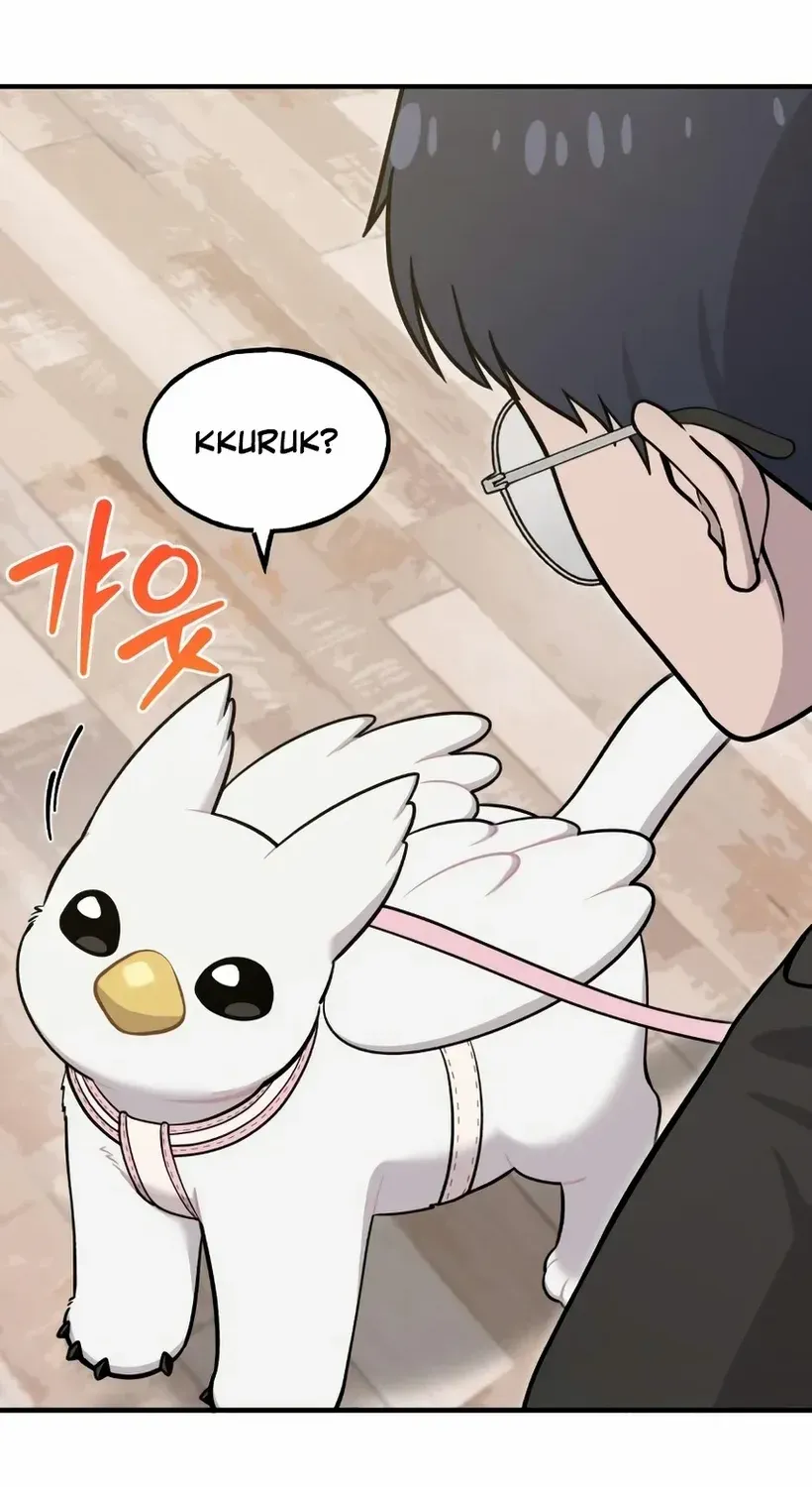 Hello, Griffin the Fluffy Bird! Chapter 18 page 29 - 