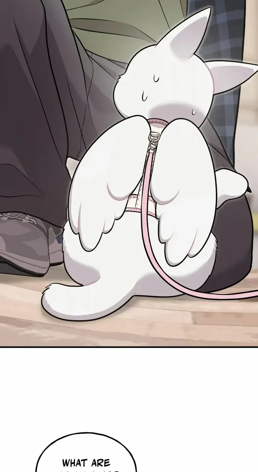 Hello, Griffin the Fluffy Bird! Chapter 18 page 35 - 