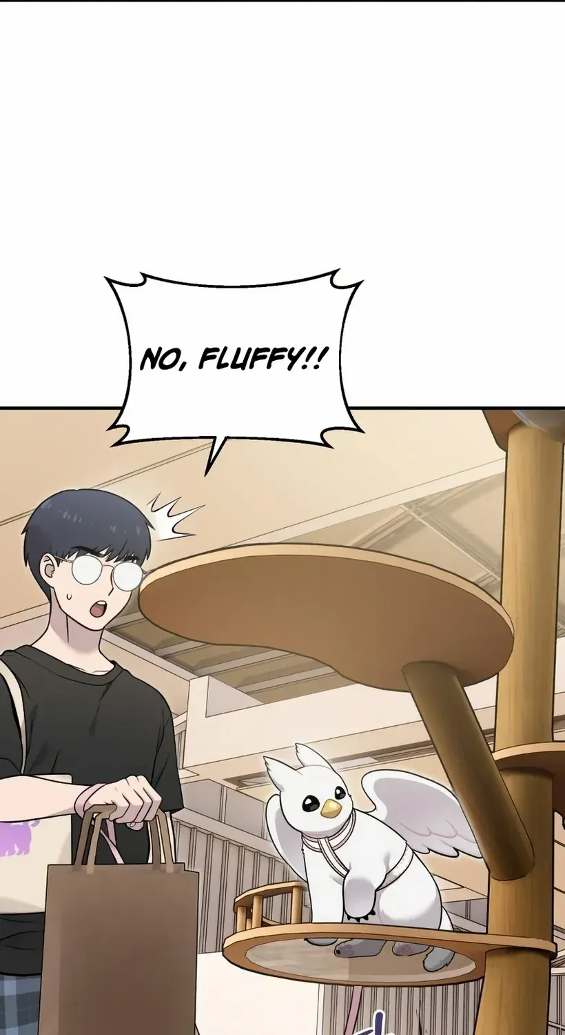 Hello, Griffin the Fluffy Bird! Chapter 18 page 52 - 