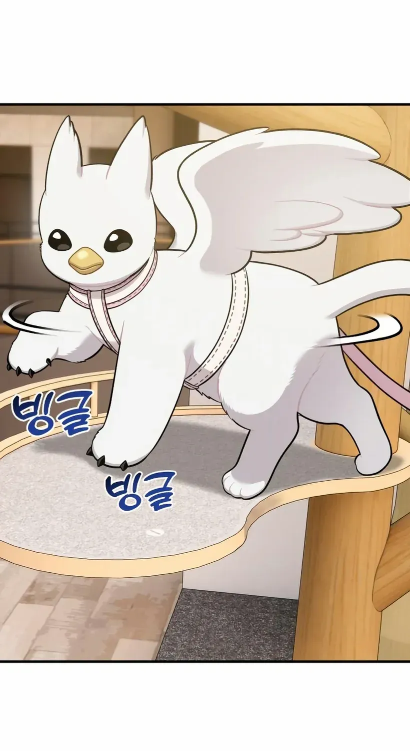 Hello, Griffin the Fluffy Bird! Chapter 18 page 54 - 