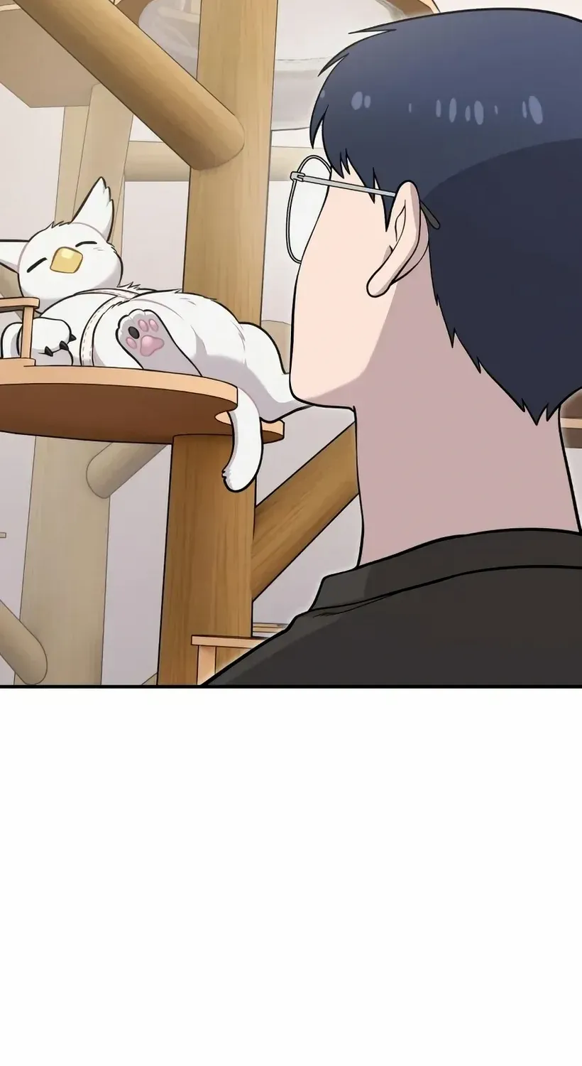 Hello, Griffin the Fluffy Bird! Chapter 18 page 64 - 