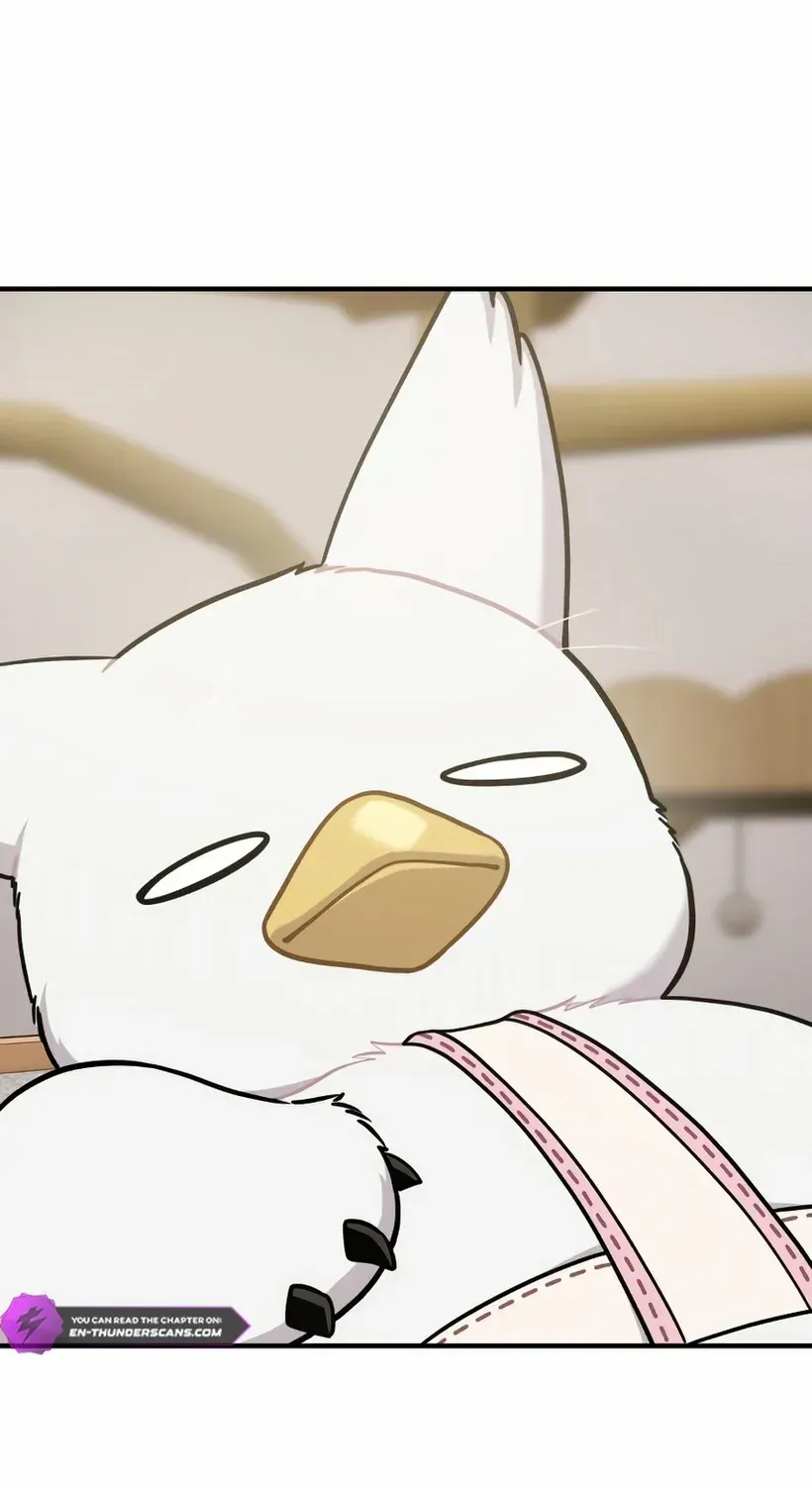 Hello, Griffin the Fluffy Bird! Chapter 18 page 65 - 